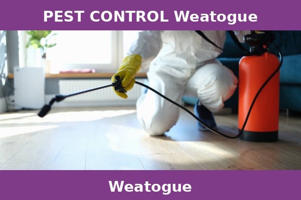 PEST CONTROL Weatogue